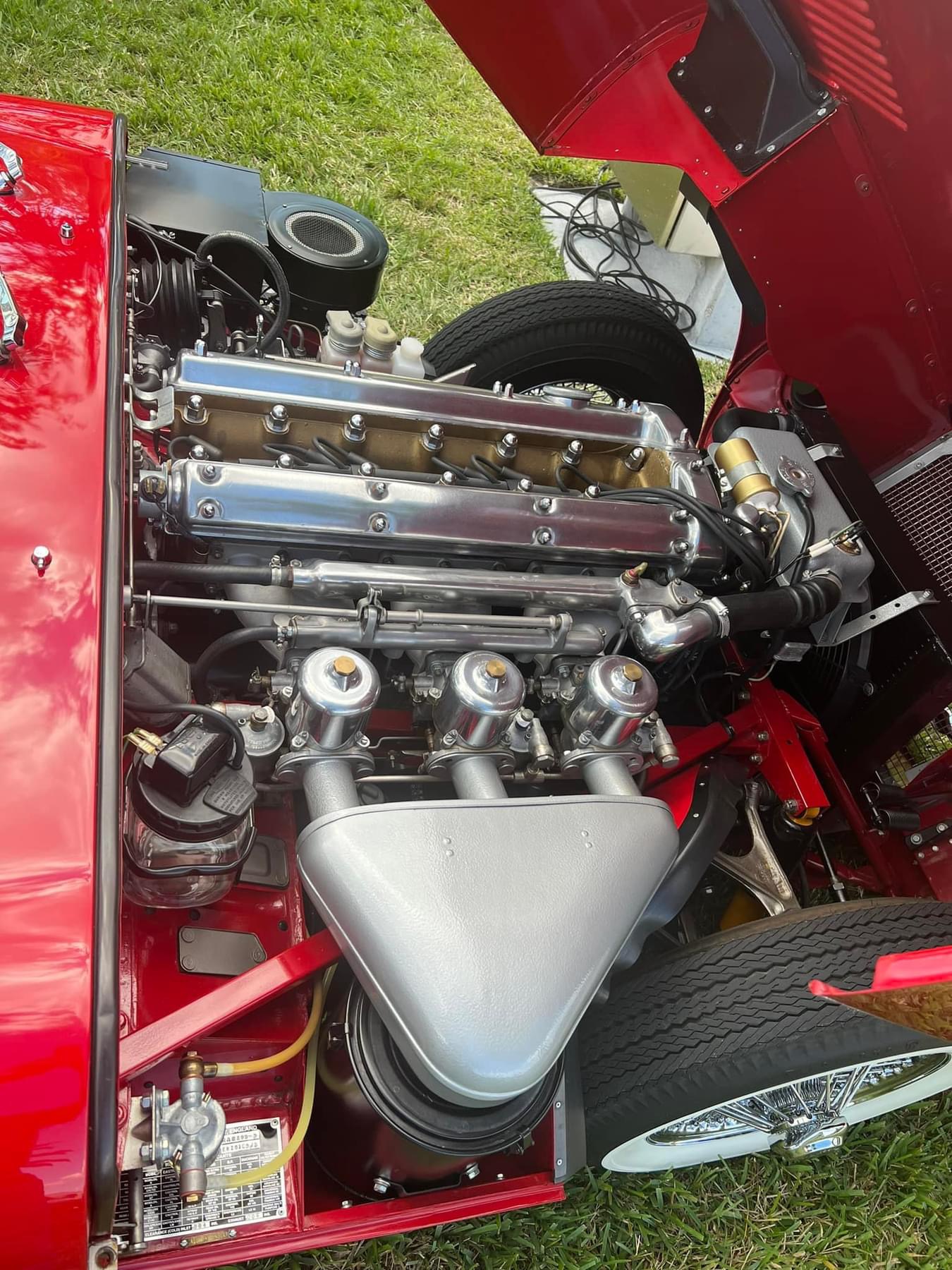 A flawless Jaguar E-Type judged at the Concours d'Elegance